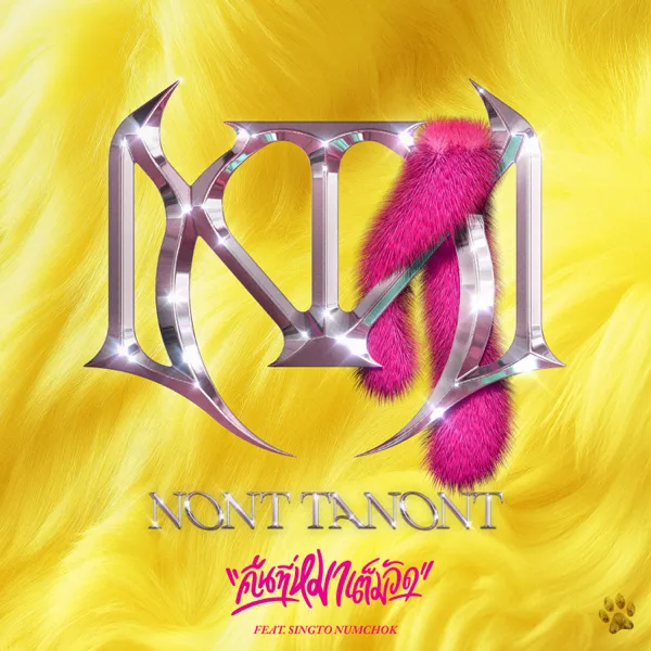 Cover art for คืนที่หมาเต็มวัด (feat. Singto Numchok) — NONT TANONT