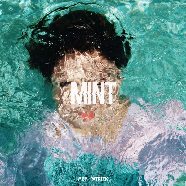 Cover art for Mint the World (Instrumental) — 尹浩宇
