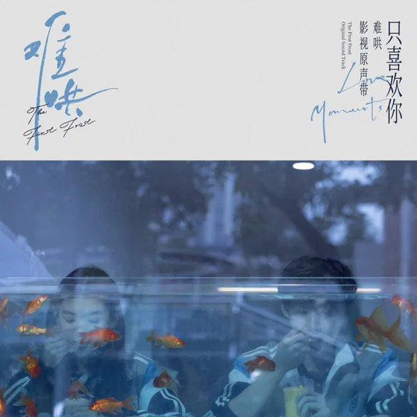 Cover art for 像晴天像雨天(电视剧《难哄》心动曲) — Silence Wang